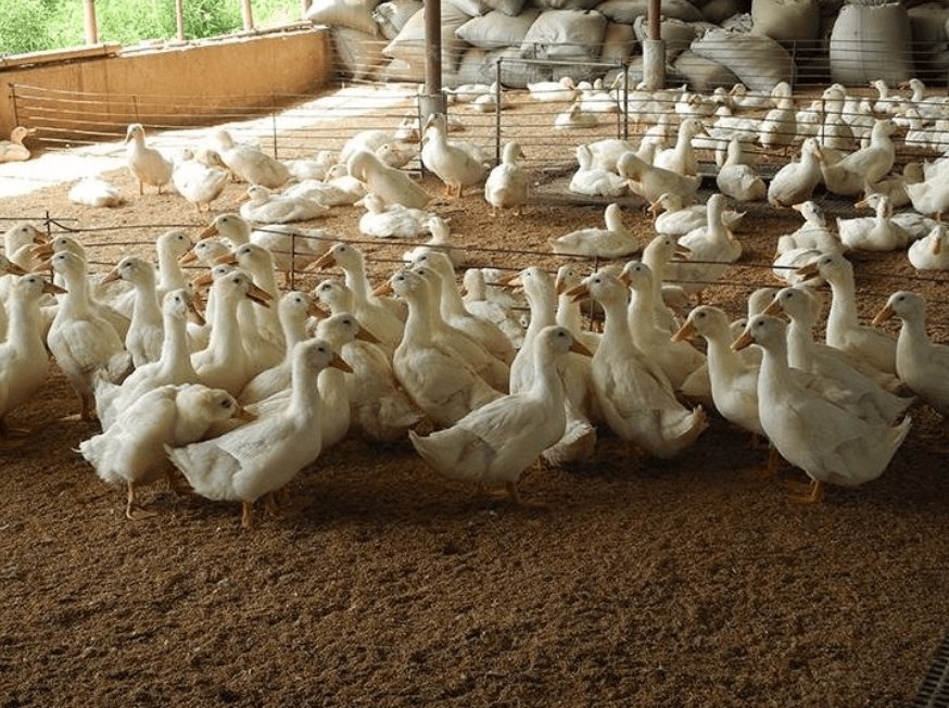 微信截圖_20260317113054.jpg 微信截圖_20260317113054.jpg