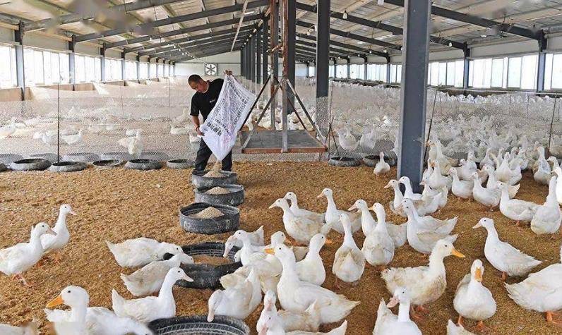 微信圖片_20260317113026.jpg 微信圖片_20260317113026.jpg