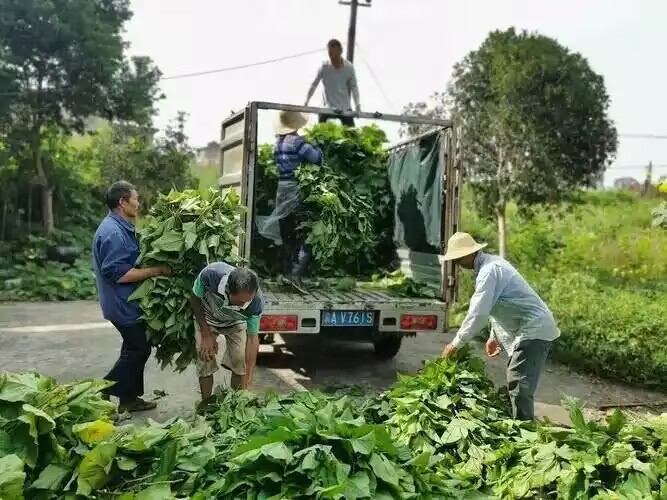 b223a71a5d140cbaa6574036b4a5959f.jpg b223a71a5d140cbaa6574036b4a5959f.jpg