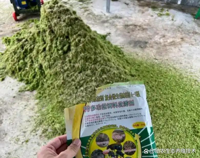 76f6621065c423e17b02f4a1bfd50b43.jpeg 76f6621065c423e17b02f4a1bfd50b43.jpeg