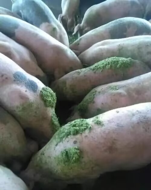 712d51dfdbbb159af1e54cd4554dd544.jpg 712d51dfdbbb159af1e54cd4554dd544.jpg