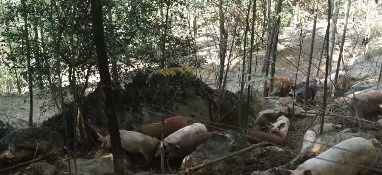 ad49933e6ea1fbe9d66ac46bd37e17b8_720.jpg ad49933e6ea1fbe9d66ac46bd37e17b8_720.jpg