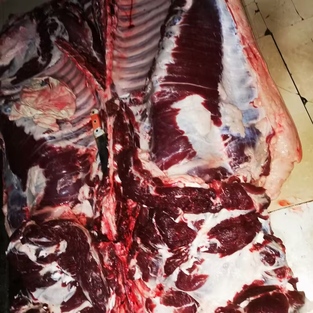 e72c3fdcd1d11189ab137530dad0b19a_720.jpg e72c3fdcd1d11189ab137530dad0b19a_720.jpg