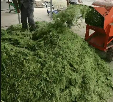 544339f39d78d8160926e83164ca045d.jpg 544339f39d78d8160926e83164ca045d.jpg