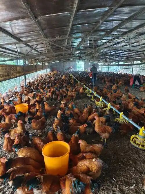 28db6ff76ecb45effdf09082e5b66721.jpg 28db6ff76ecb45effdf09082e5b66721.jpg