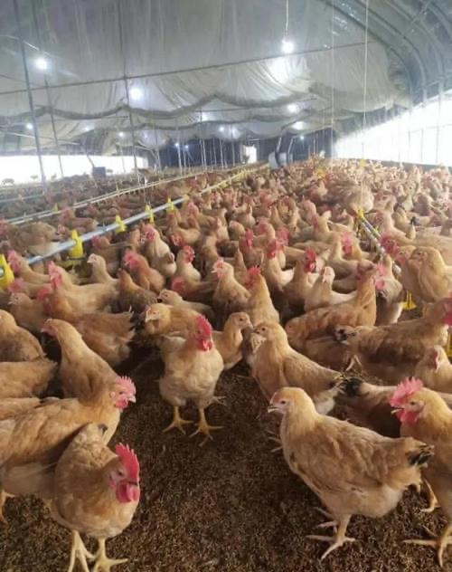 微信圖片_20260318103924.jpg 微信圖片_20260318103924.jpg