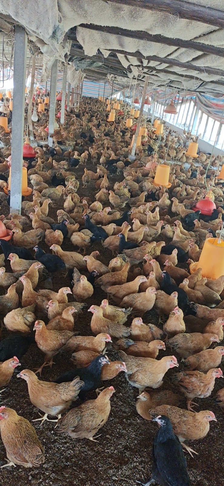 微信圖片_20260318104006.jpg 微信圖片_20260318104006.jpg