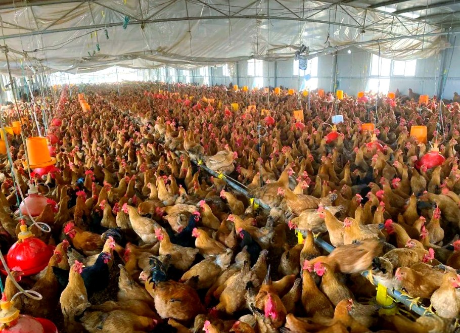 微信截圖_20260318103948.jpg 微信截圖_20260318103948.jpg