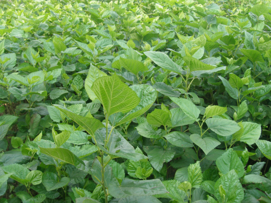 QQ圖片20250324165309.png QQ圖片20250324165309.png