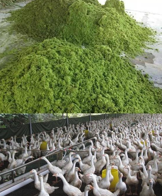 QQ圖片20230303123508.png QQ圖片20230303123508.png