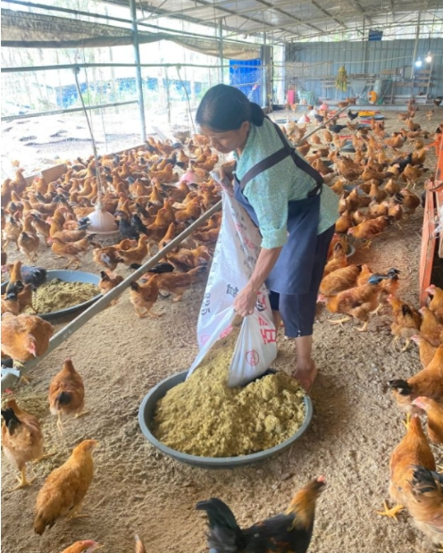 QQ圖片20250402125044.png QQ圖片20250402125044.png