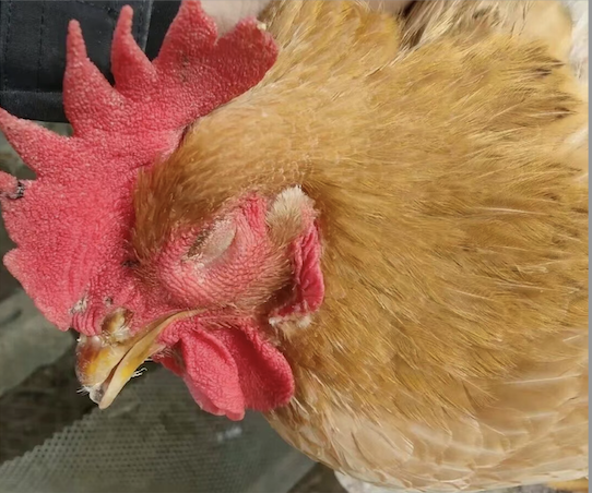 截屏2026-03-19 09.30.16.png 截屏2026-03-19 09.30.16.png