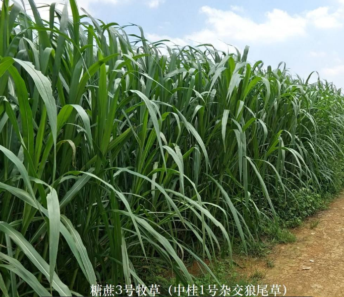 截圖20260321094608.png 截圖20260321094608.png