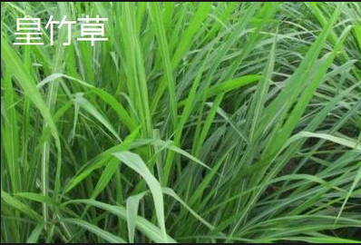 截圖20260321094737.png 截圖20260321094737.png