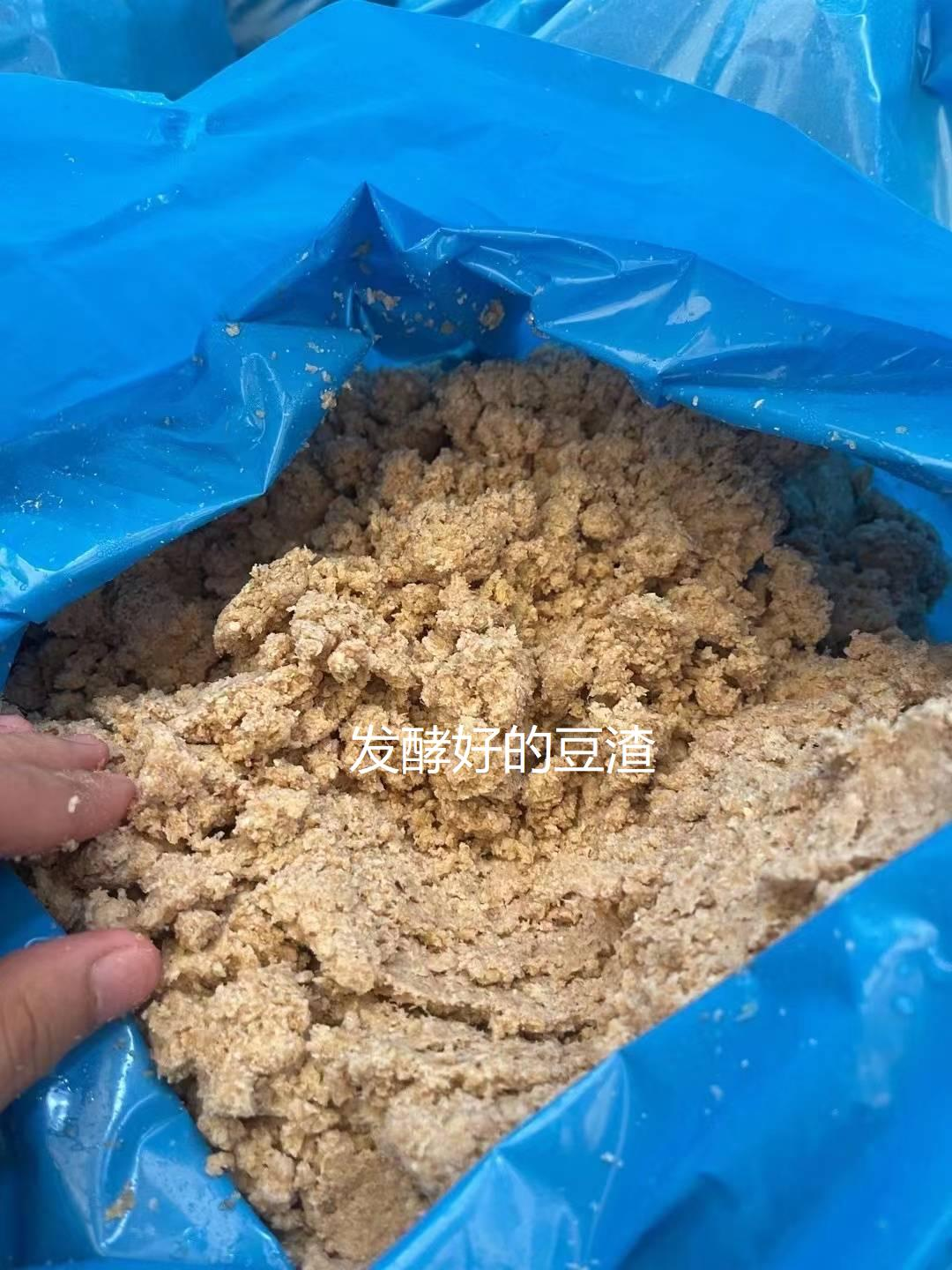 QQ圖片20260323191050.png QQ圖片20260323191050.png