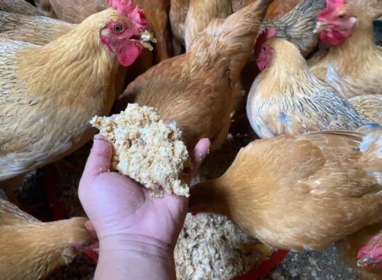 QQ圖片20260323192358.jpg QQ圖片20260323192358.jpg