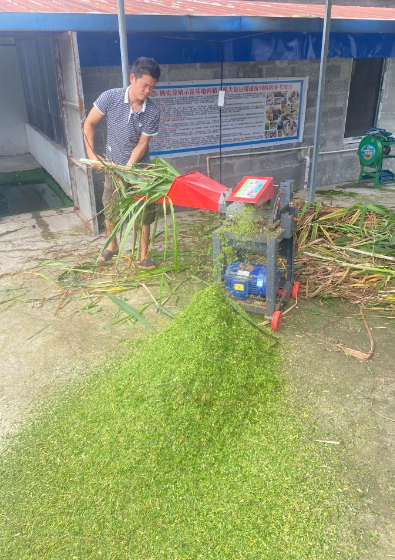 17545537293085996.png 17545537293085996.png