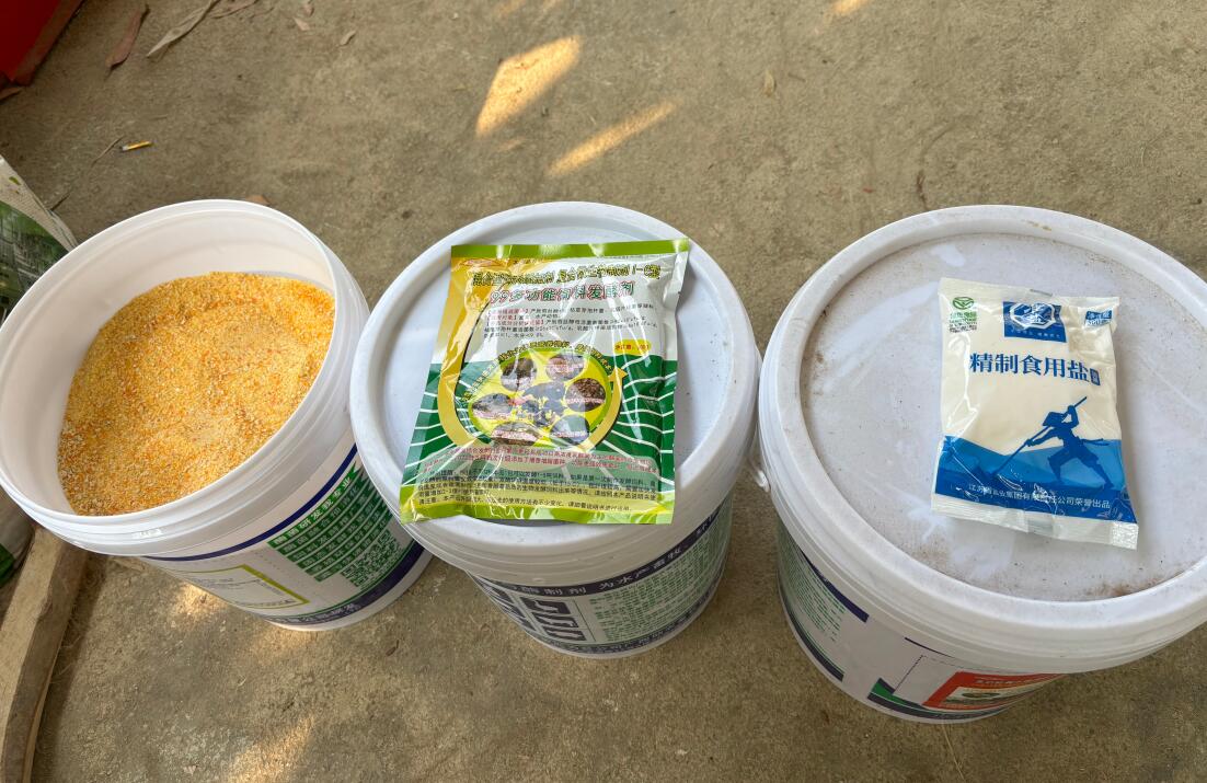 17479677474258649.jpg 17479677474258649.jpg