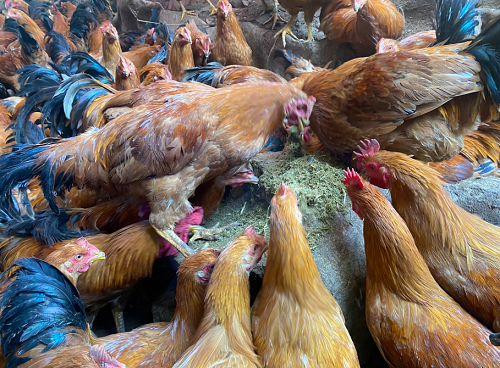 1722867867108026.png 1722867867108026.png