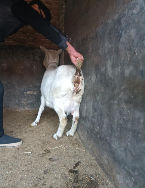 截圖20260324091438.png 截圖20260324091438.png