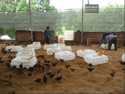 截圖20260324095401.png 截圖20260324095401.png