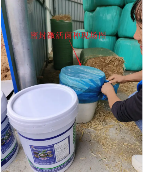 截圖20250916094449.png 截圖20250916094449.png