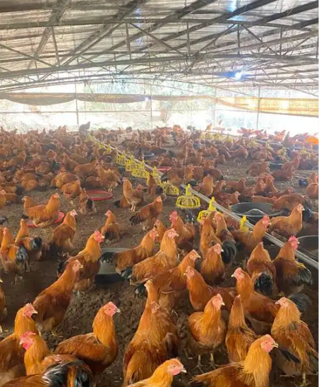 截圖20260312102444.png 截圖20260312102444.png