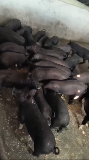 微信截圖_20260324095715.jpg 微信截圖_20260324095715.jpg