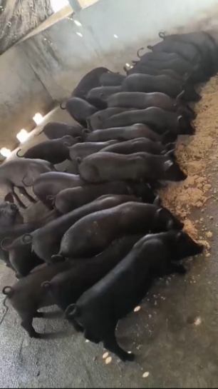 微信截圖_20260324095653.jpg 微信截圖_20260324095653.jpg