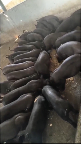 微信截圖_20260324095703.jpg 微信截圖_20260324095703.jpg