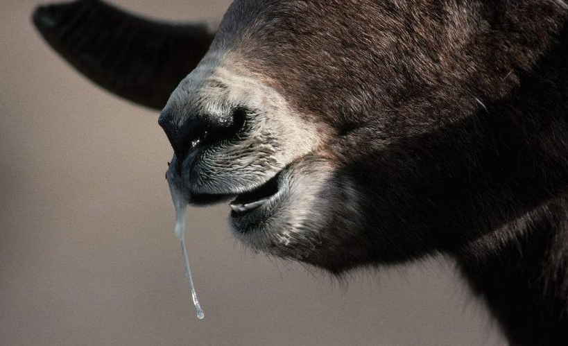 QQ圖片20260324111247.png QQ圖片20260324111247.png