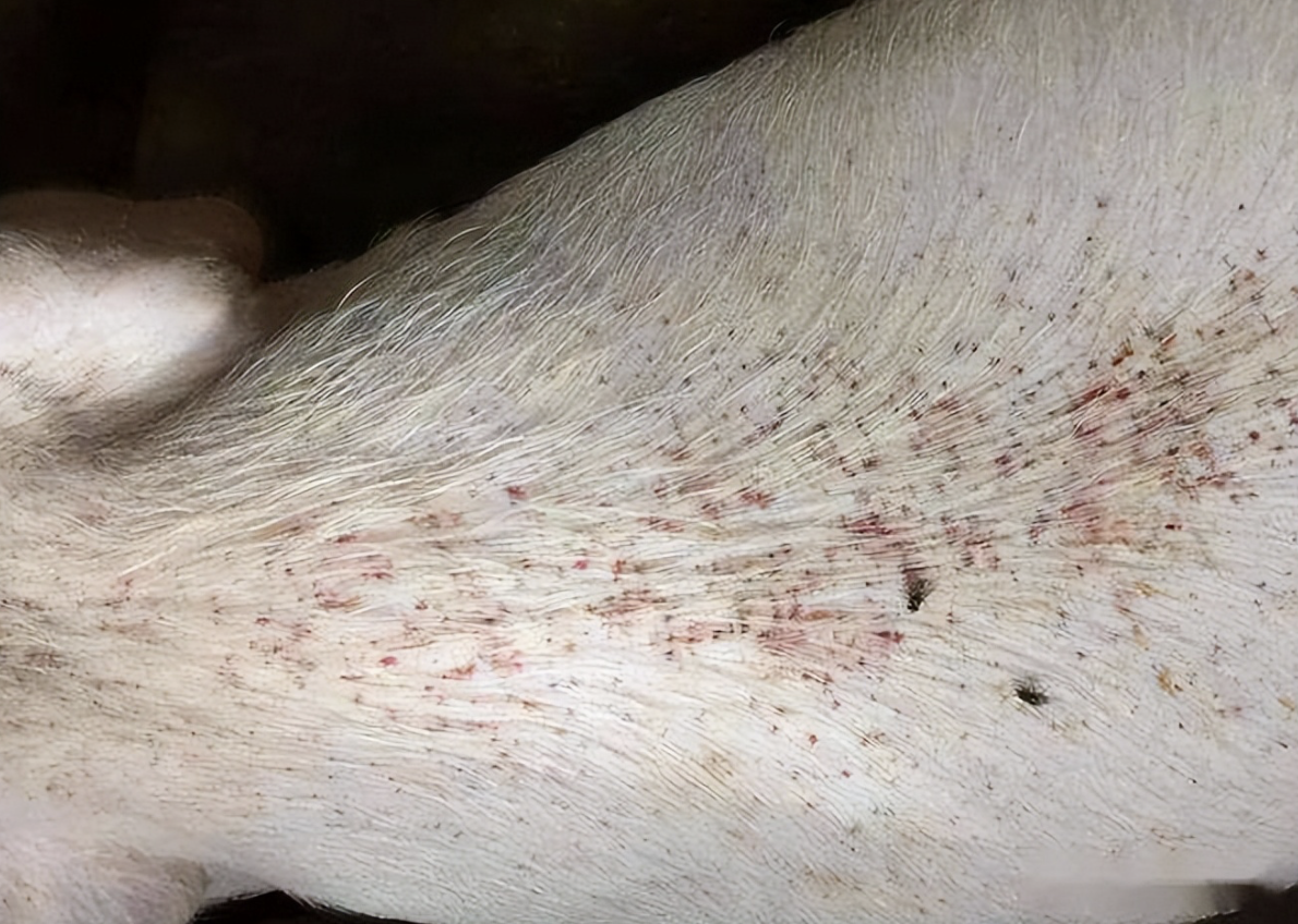 截屏2026-03-25 10.55.56.png