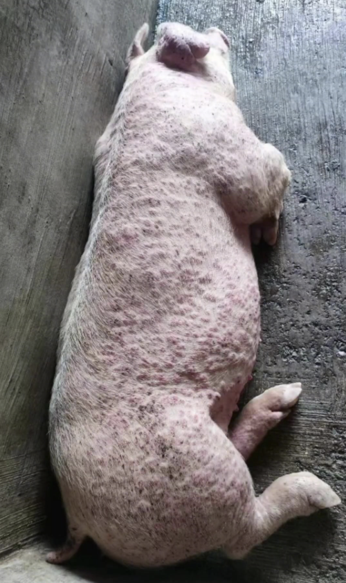 截屏2026-03-25 10.59.49.png