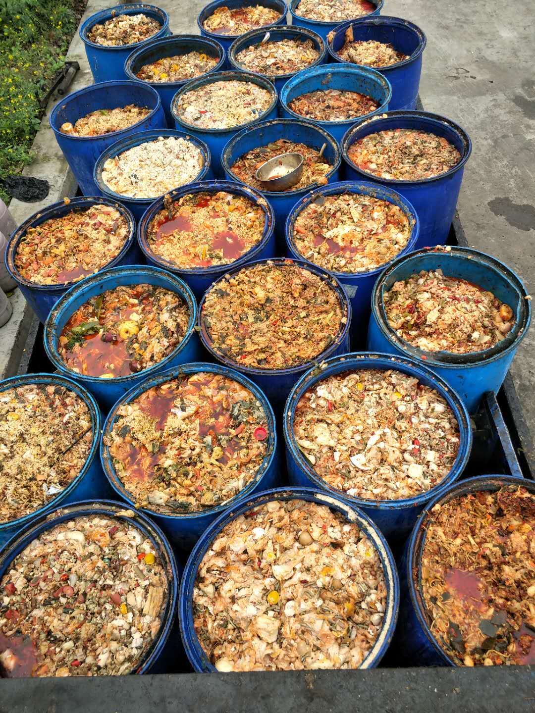 1723004188579035.jpg 1723004188579035.jpg