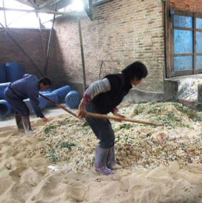 1723004213766223.jpg 1723004213766223.jpg