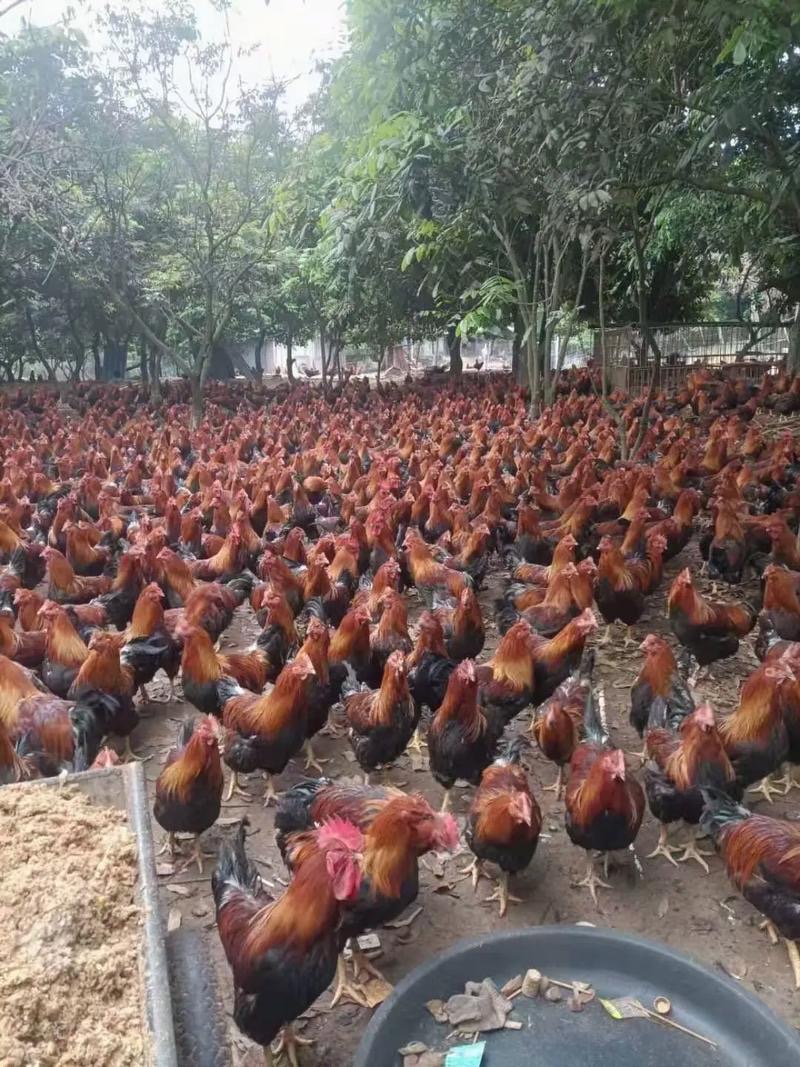 微信圖片_20260325104510.jpg 微信圖片_20260325104510.jpg