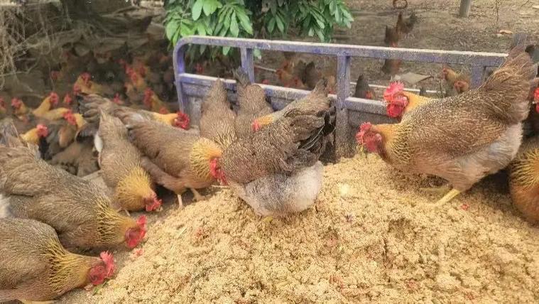 微信圖片_20260325104534.jpg 微信圖片_20260325104534.jpg