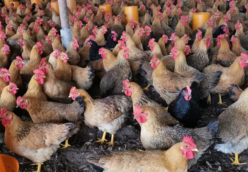 1679249683127189.jpg 1679249683127189.jpg