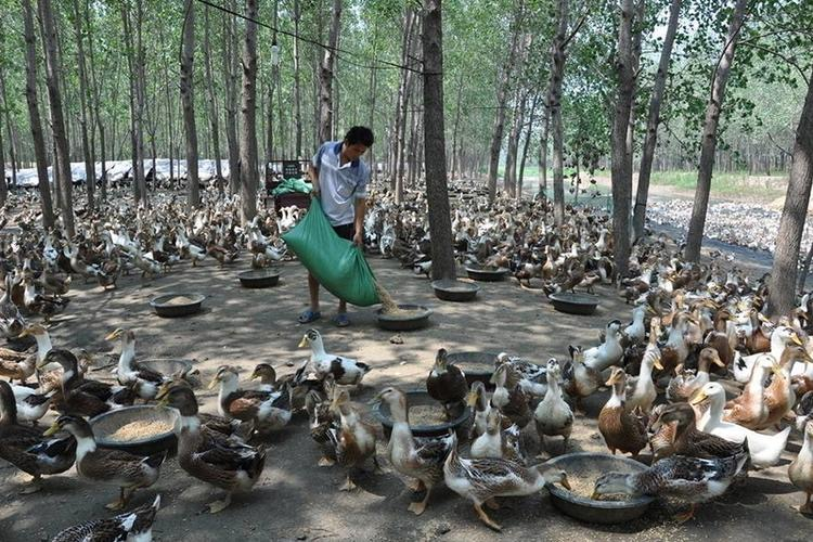 QQ圖片20260326151537.png QQ圖片20260326151537.png