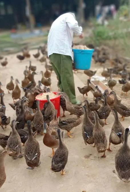 QQ圖片20231014101224.png QQ圖片20231014101224.png