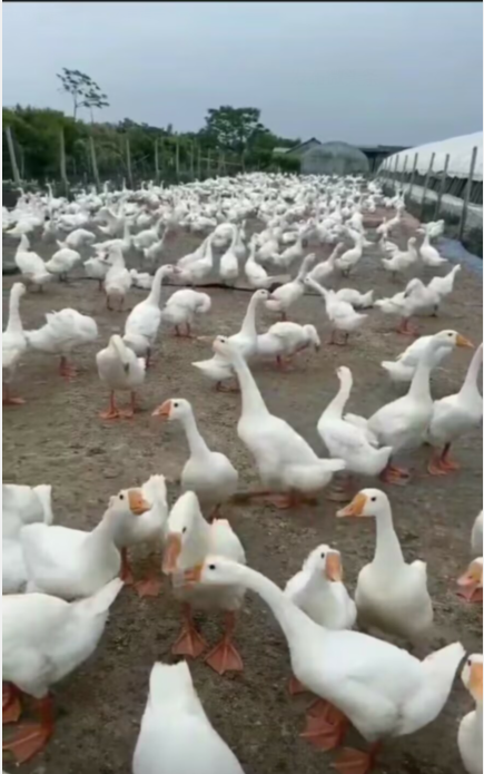 QQ圖片20230309170956.png QQ圖片20230309170956.png