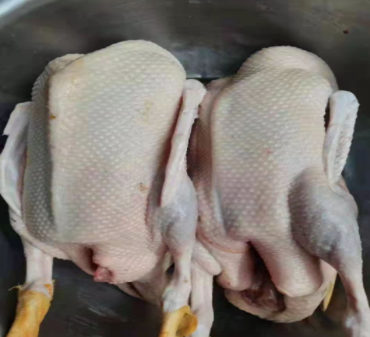 QQ圖片20240615124100.png QQ圖片20240615124100.png