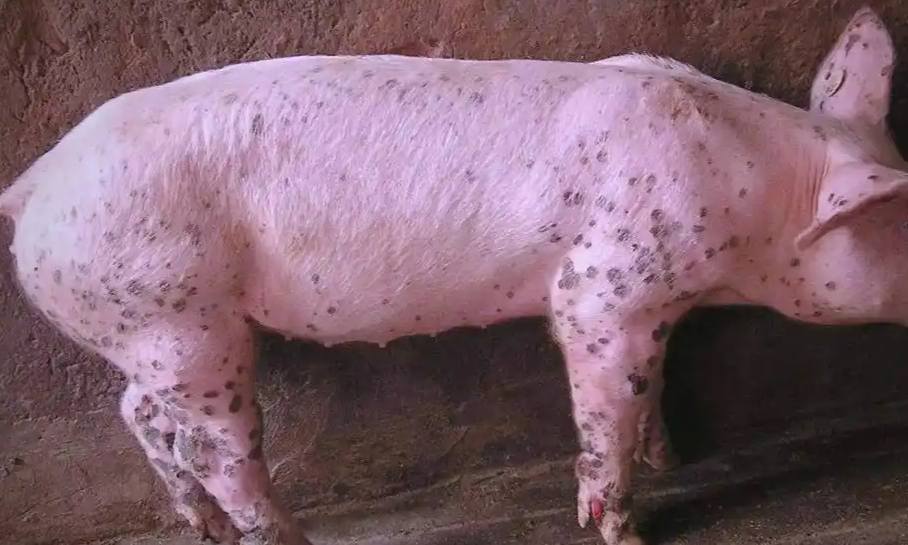 截圖20260331092248.png 截圖20260331092248.png