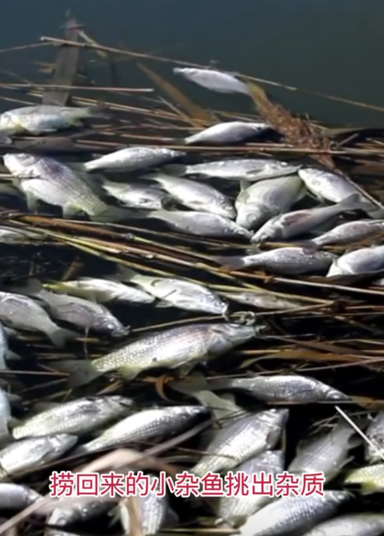 B4ED2E01580077F1A40F970D53A990F0.png B4ED2E01580077F1A40F970D53A990F0.png